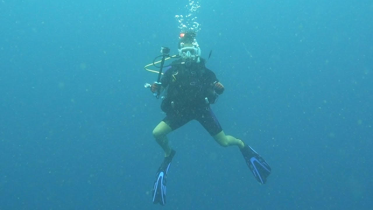 Scuba Dive At Tiger Rock (DJs Dives)