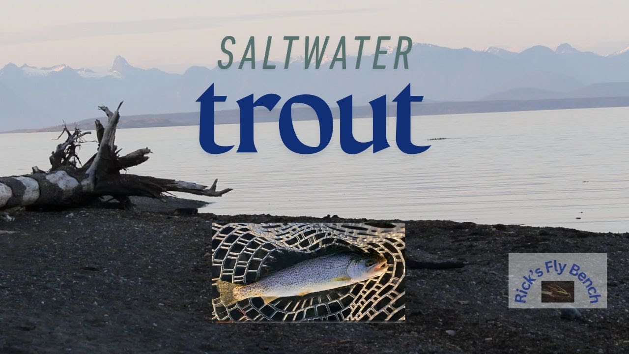 Fly fishing for searun cutthroat trout on Vancouver Island.