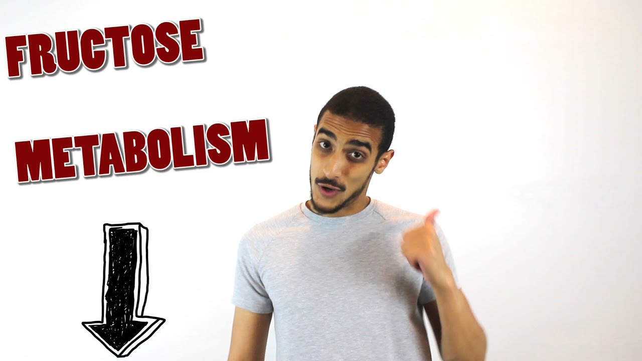 Fructose metabolism step by step