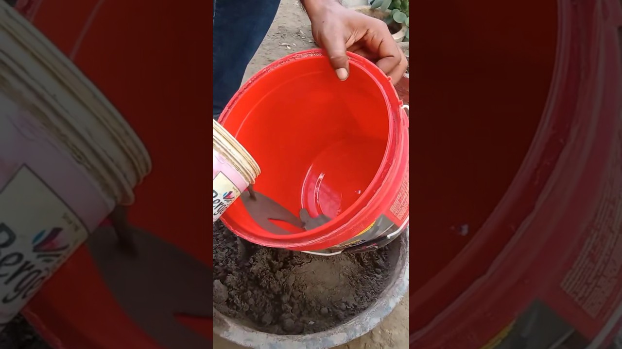How to make a flower pot in a plastic bucket, how to make a flower pot #pot #gamla #pot #cementpot #gardening