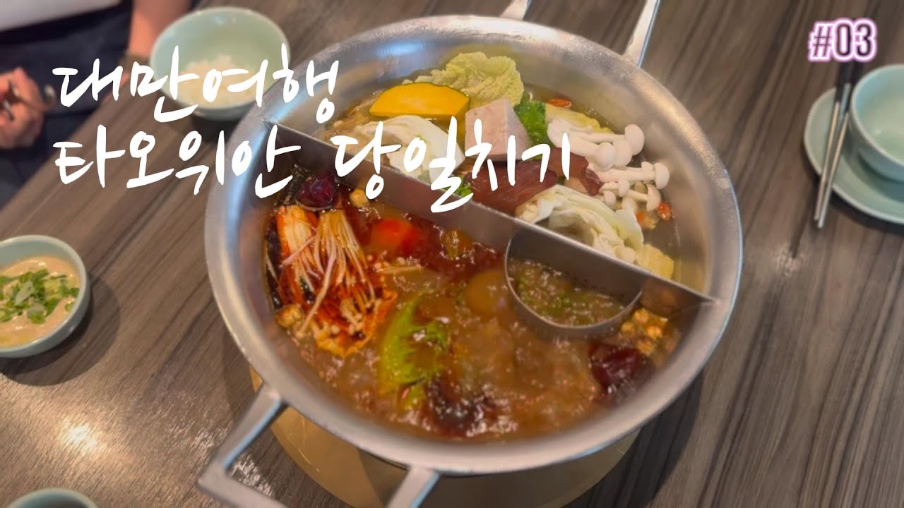 타이베이 근교 하루 여행🇹🇼✈️공항만 아는 타오위안? 훠궈,야시장,대만 현지인 추천 까르푸 필수템까지