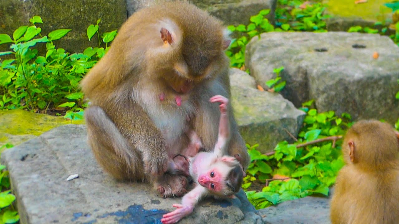 Joyce still exhausted after giving birth to newborn Jacee & Tiny seem want to move