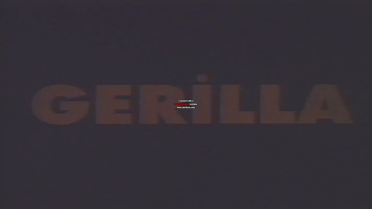 GERİLLA/ayşeg&uuml;l aldin&ccedil; mehmet aslantuğ fikret hakan vhs sans&uuml;rs&uuml;z d&uuml;r