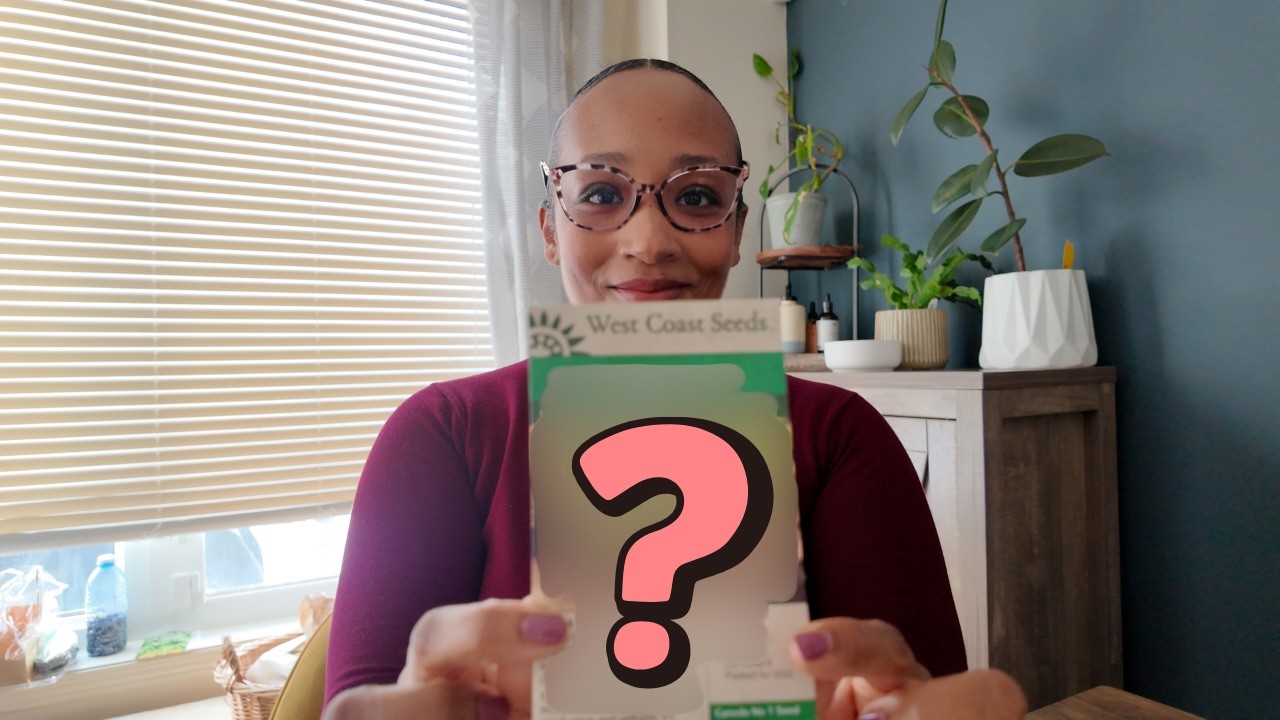 Start Now: February Seed Starting and Seed Haul