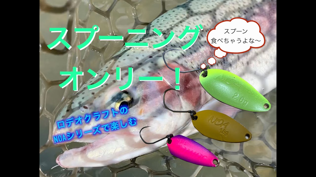 【エリアトラウト】NOAシリーズでスプーニングを楽しむ【ロデオクラフト】