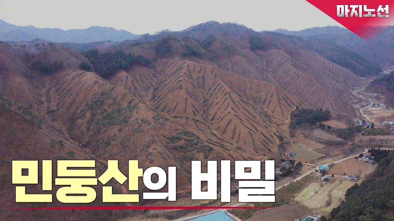 벌목과 탄소중립, 민둥산의 비밀 [TBS 마지노선]
