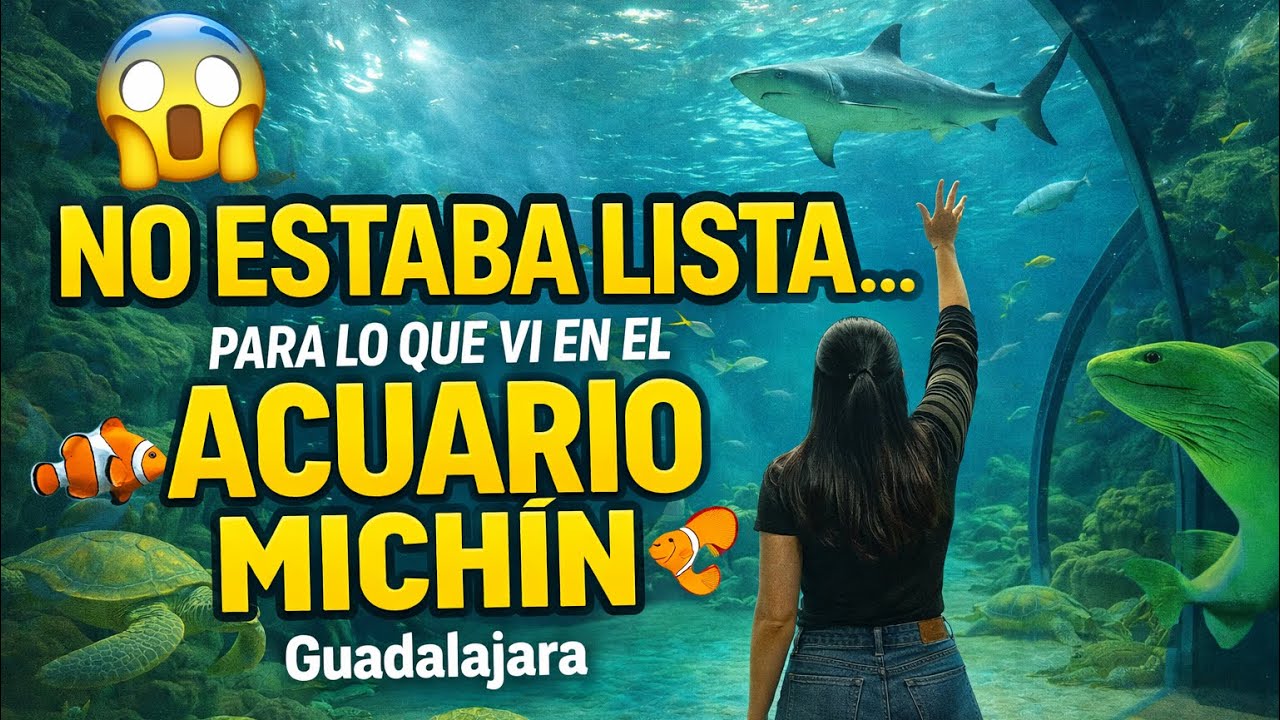 🐠 Así es el ACUARIO MICHÍN Guadalajara | Tiburones, tortugas y más 🦈🐢