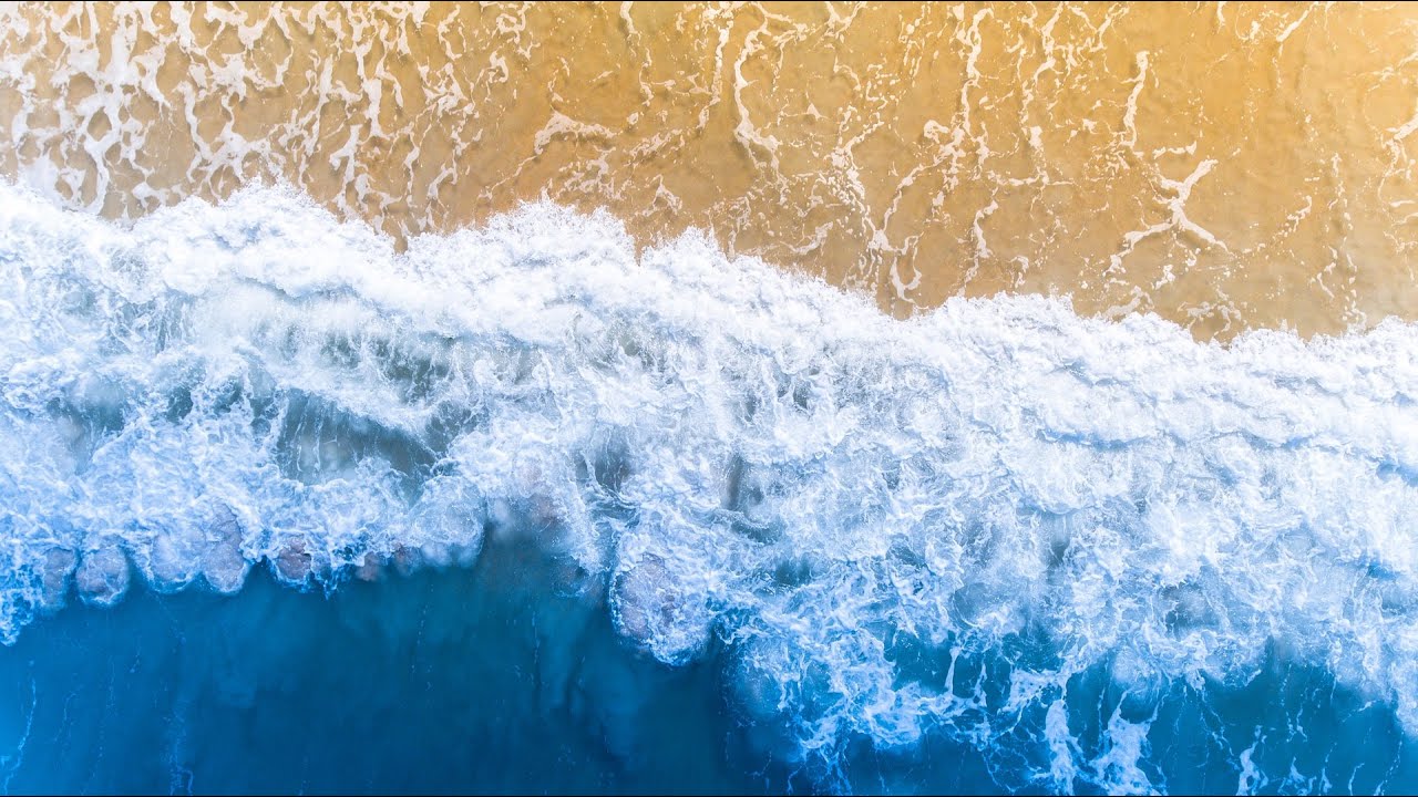 More than Human: Exhibiting Water / Conversation between  Astrida Neimanis and Stefanie Hessler