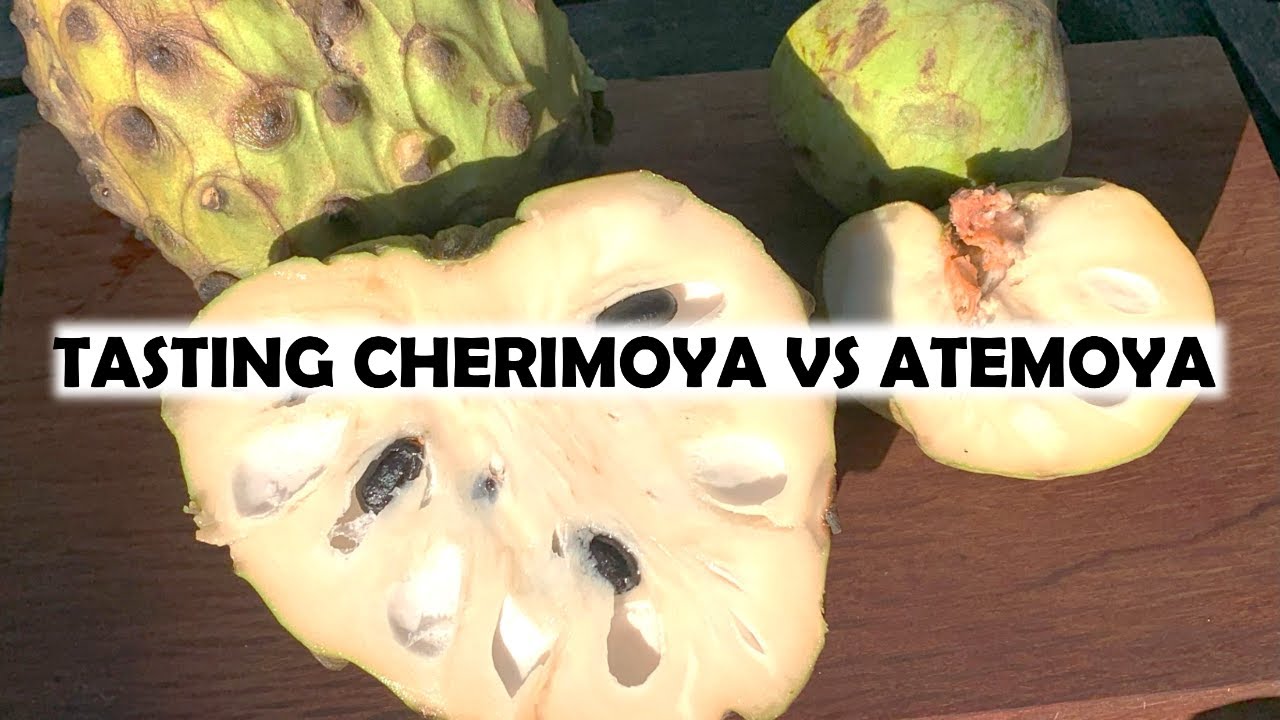 Rare Fruit: Tasting Cherimoya vs Atemoya