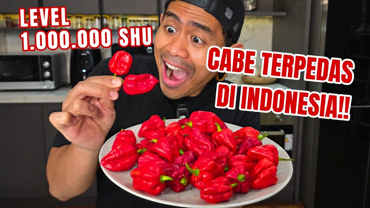 GEGER!! PENEMUAN CABE TERPEDAS DI INDONESIA LEVEL 1 JUTA !!