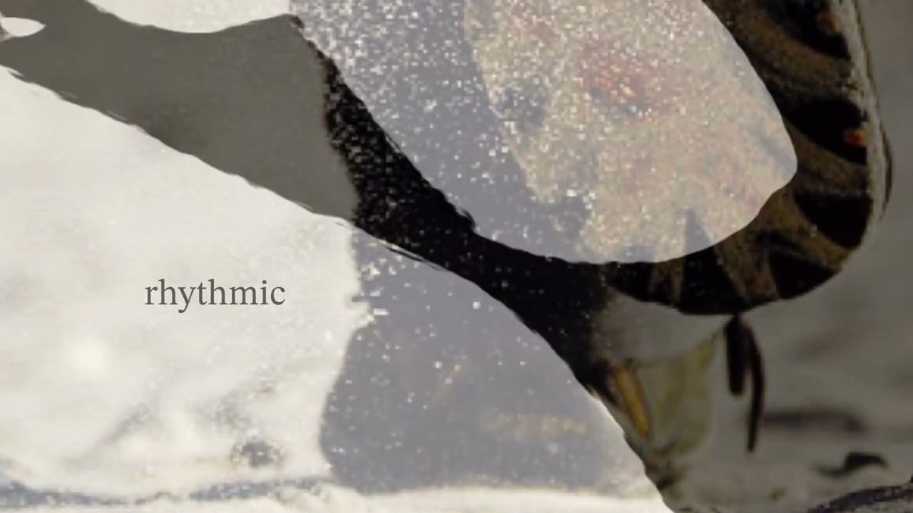 『rhythmic』　#alternative 