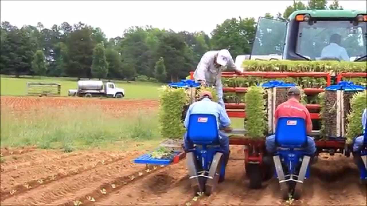 FERRARI TRANSPLANTER - MOD FMAX
