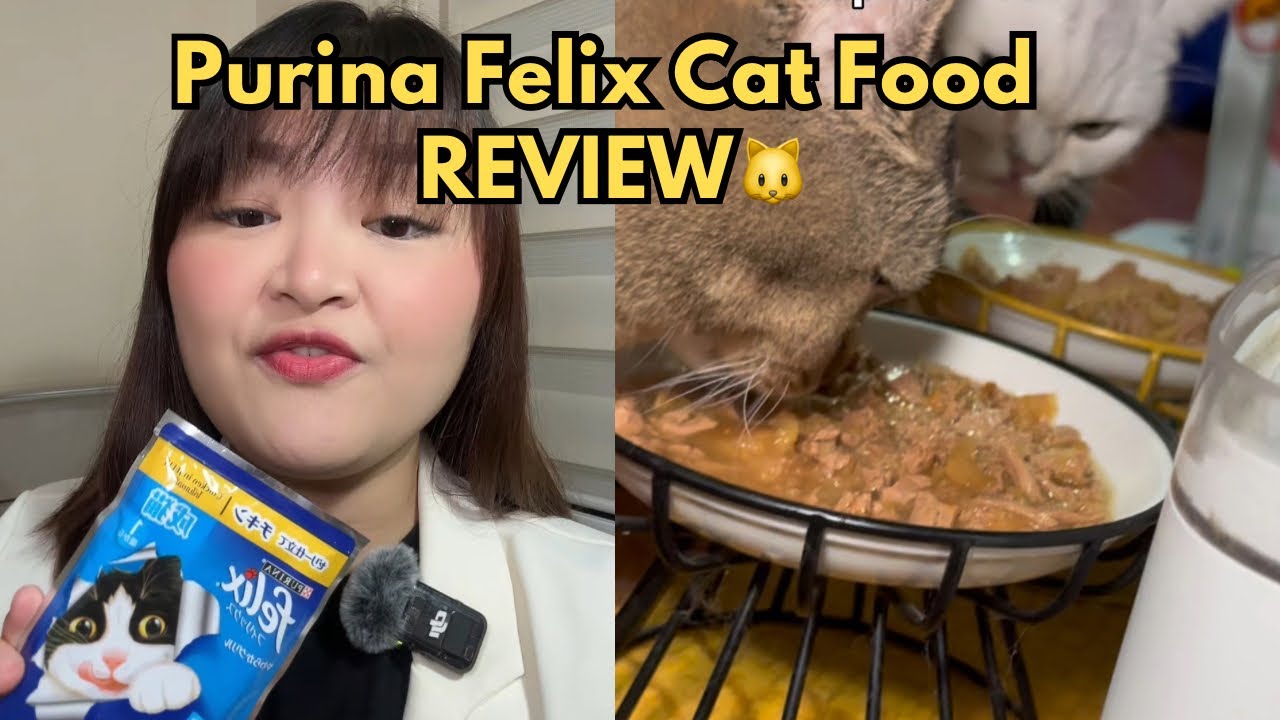 VET REVIEW: Purina Felix Cat Food 🐱
