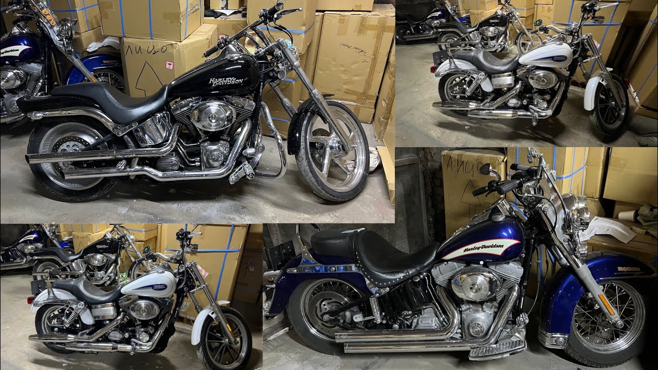 Harley Davidson Впечатления от разных моделей