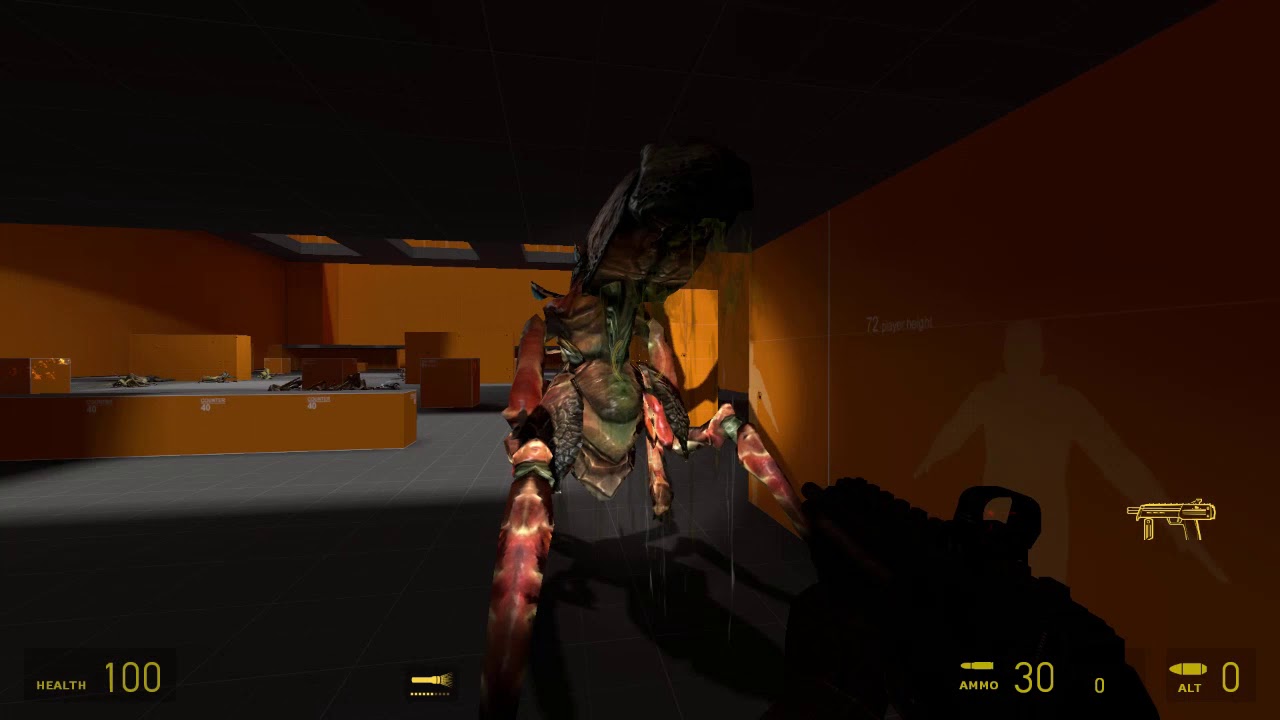 Half Life 2 Improved combine vs Antlions