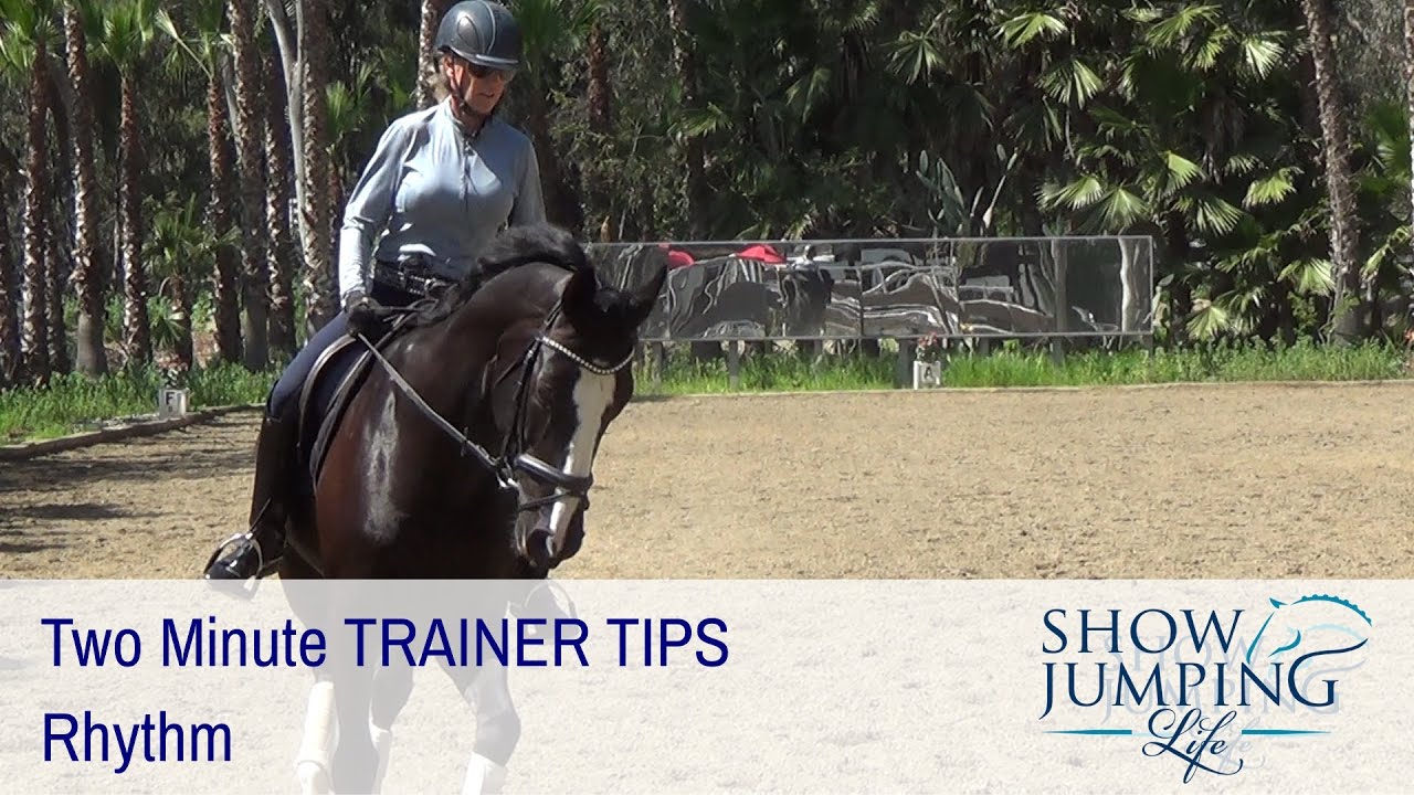 Equestrian Training Scale Ep 2 Rhythm