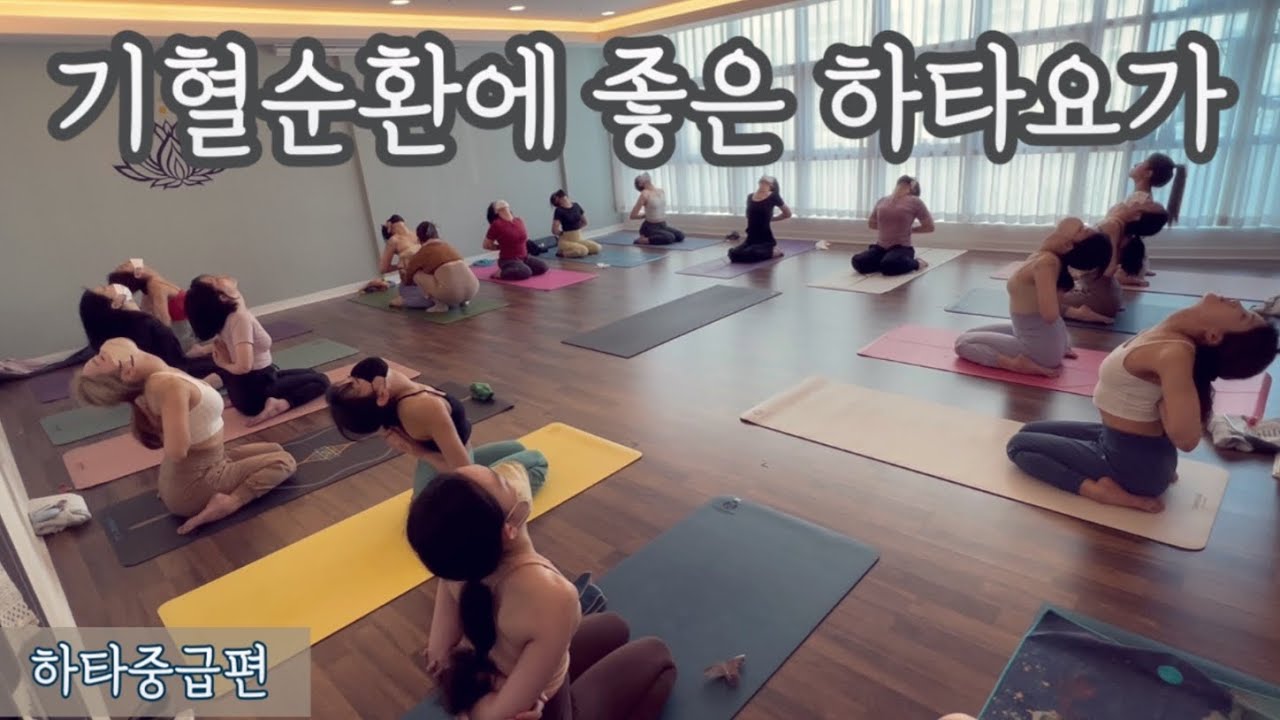 [엔젤요가] 좌법에서 6방향 어깨 • 골반 기혈순환으로 시작하는 하타요가 | 데일리요가 | 모닝요가  | home yoga | yoga at home | 요가