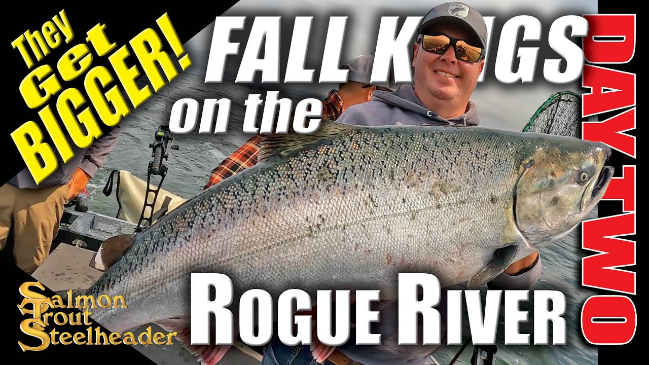Fall KINGS on the ROGUE RIVER - DAY TWO - THEY GET BIGGER!