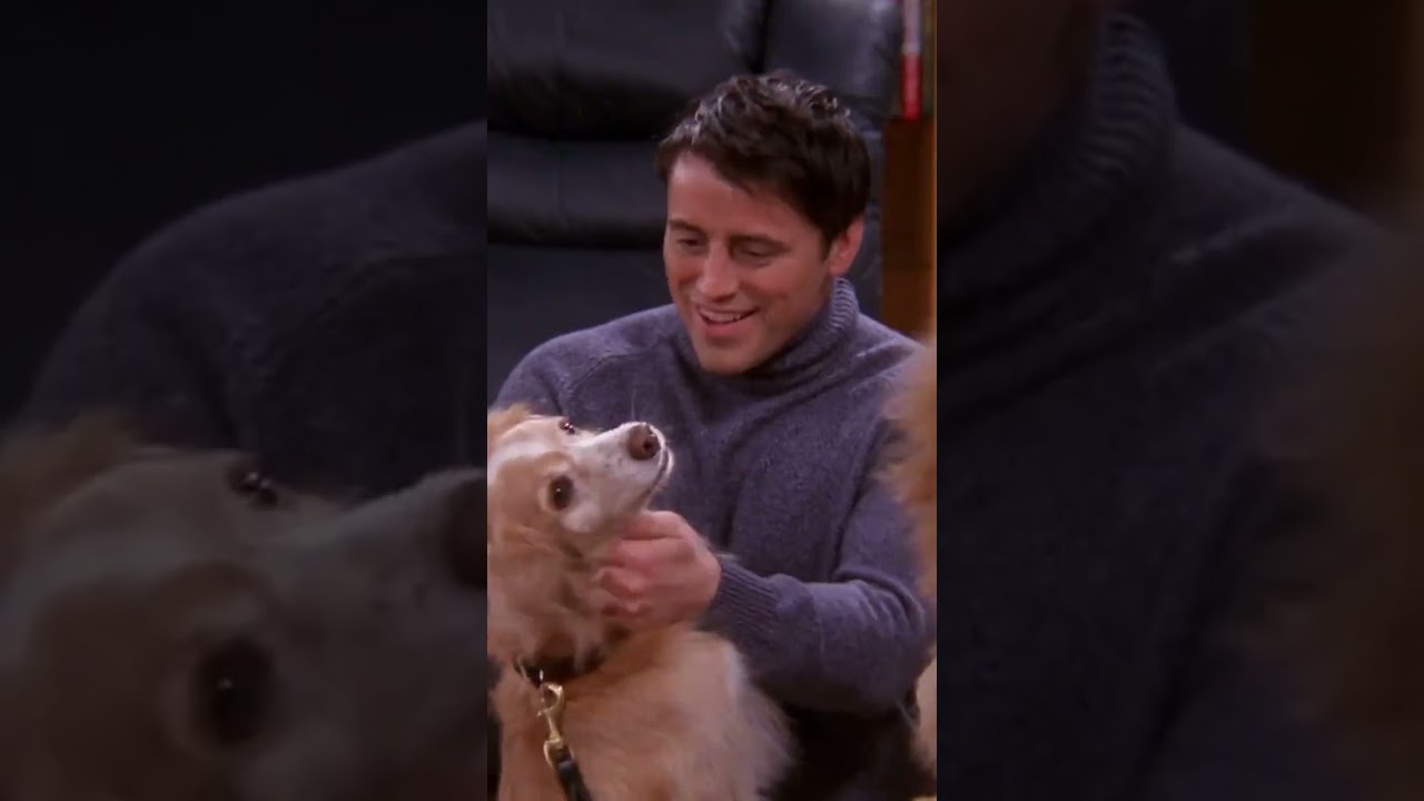 Joey is now a dog dad! #FRIENDS