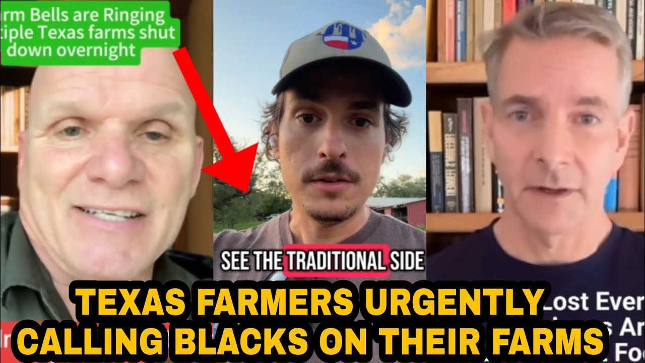 Black Americans REACT to TEXAS Farmers SHOCKING Plea For Help!