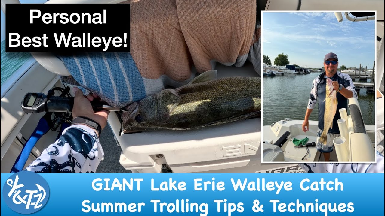 GIANT Lake Erie Walleye Catch | Summer 2025 Trolling Tips & Techniques