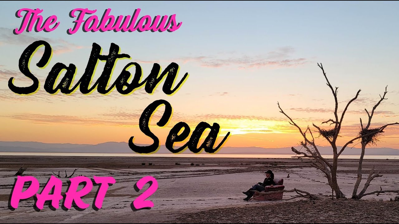The Mud Monster of Niland and the Dead Trees of Fury Road Beach: Camping at the Salton Sea PART 2/2