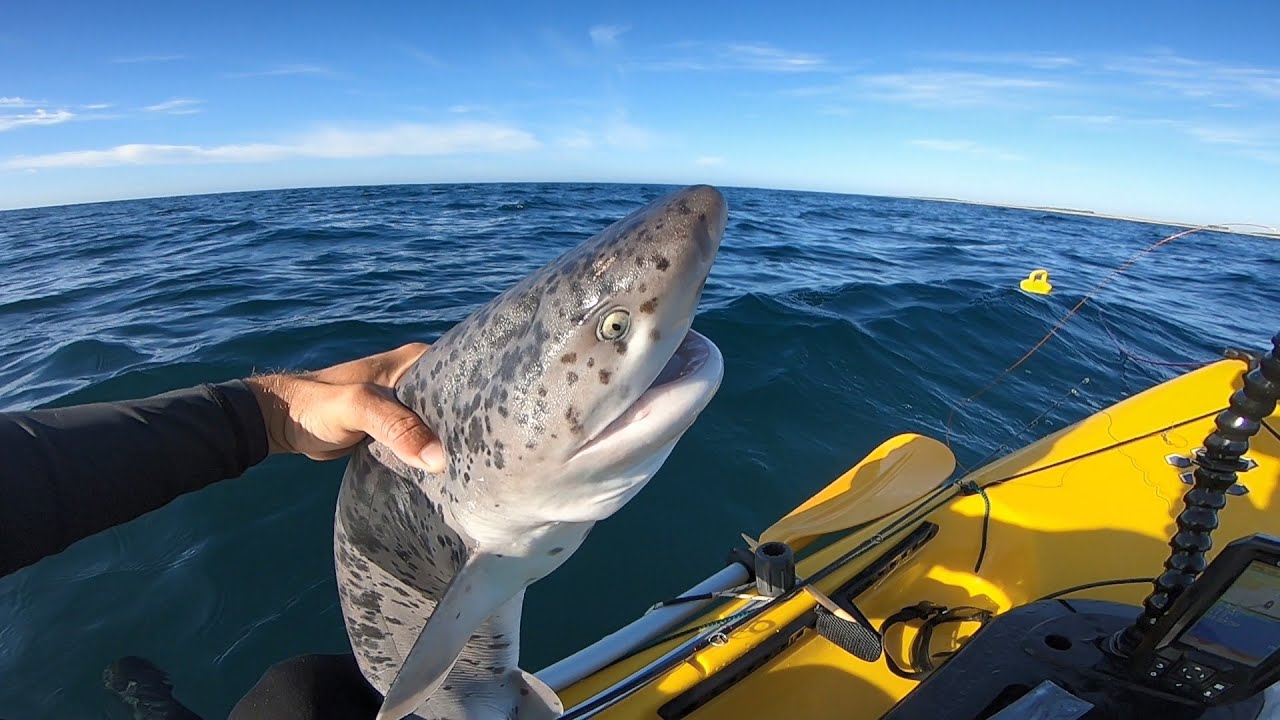 (PEK) Pesca en kayak en Mar del Sur, 28 de enero de 2024