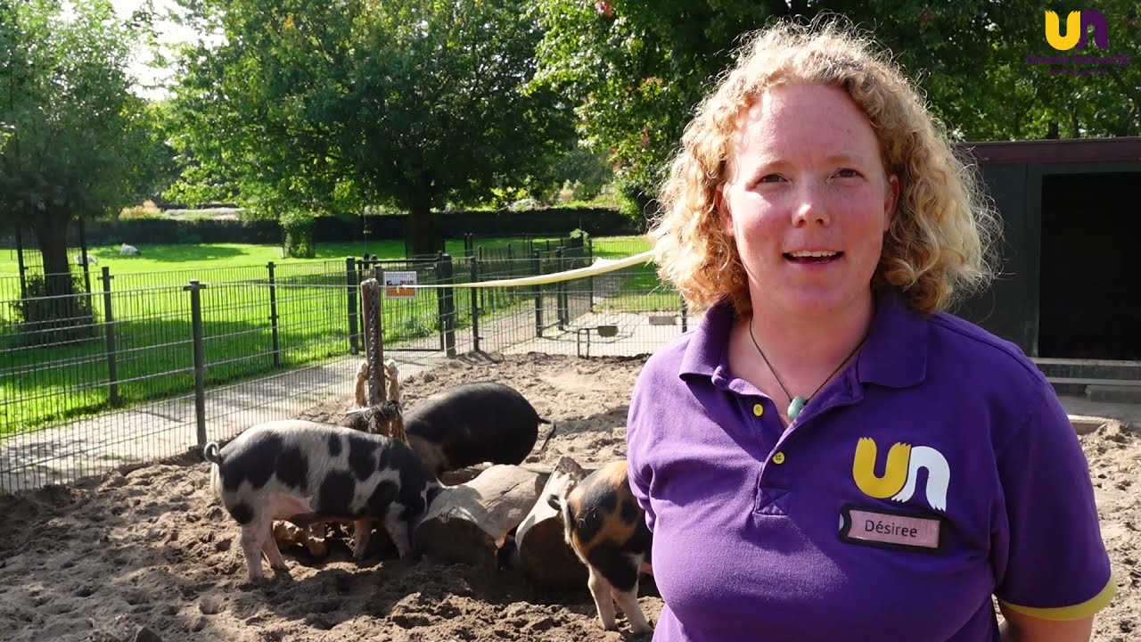 Boerderij Inspectie | Varken | Gagelsteede