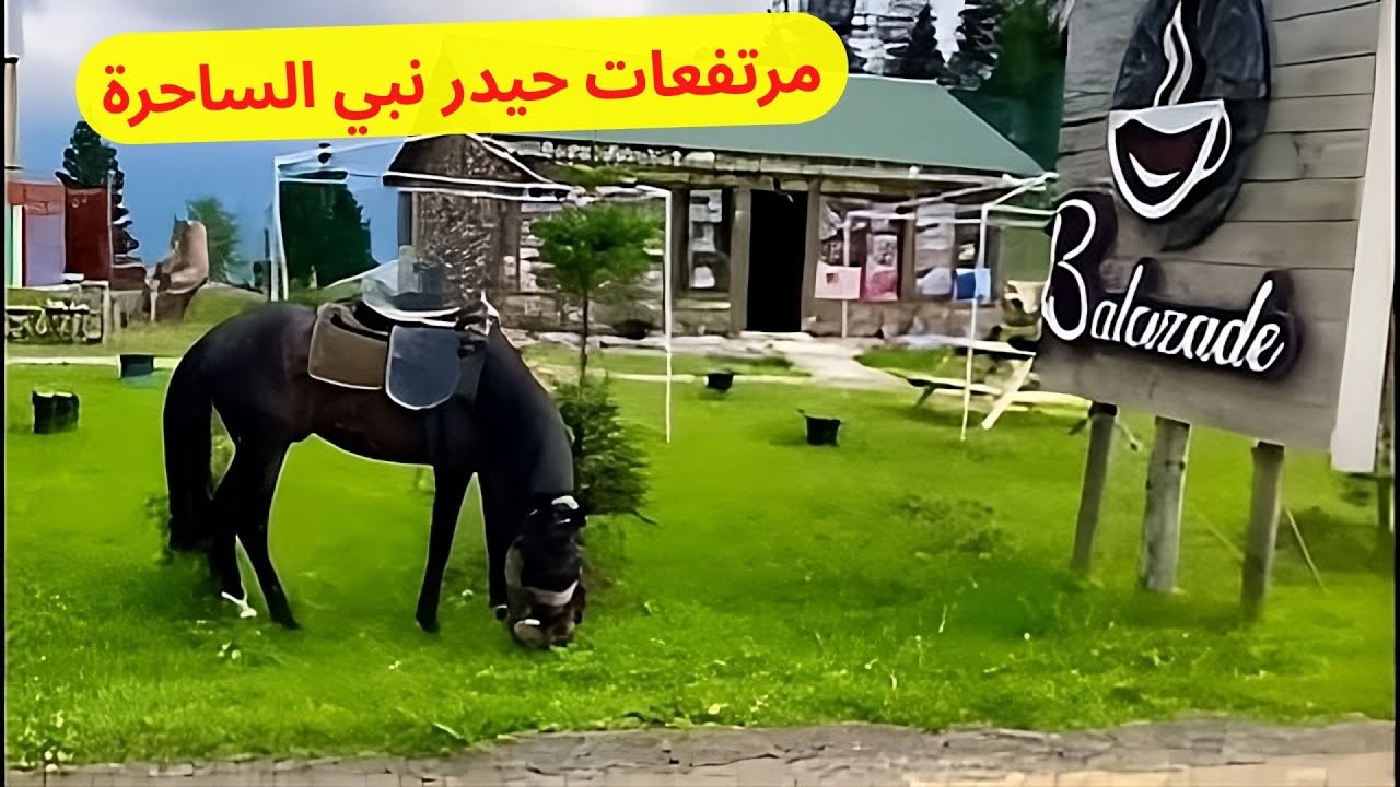 قرية حيدر نبي طرابزون الشمال التركي قرية فوق السحاب