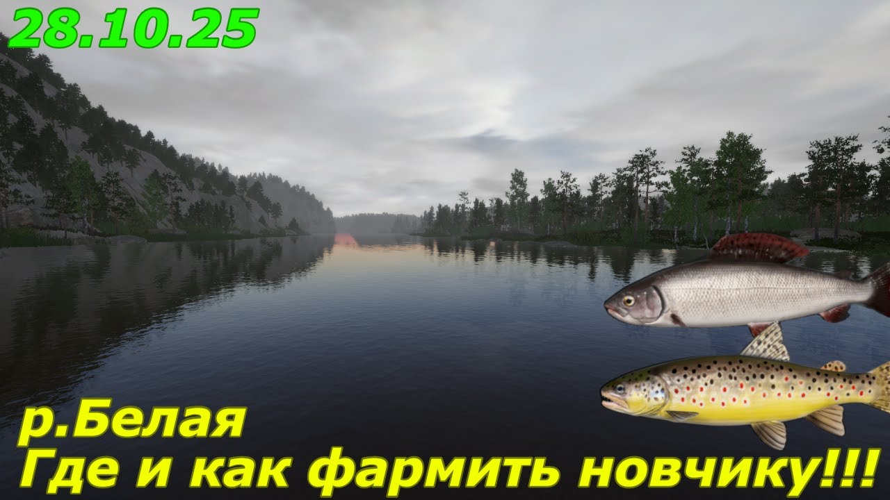 Где и как фармить новичку на реке Белой | Русская Рыбалка 4