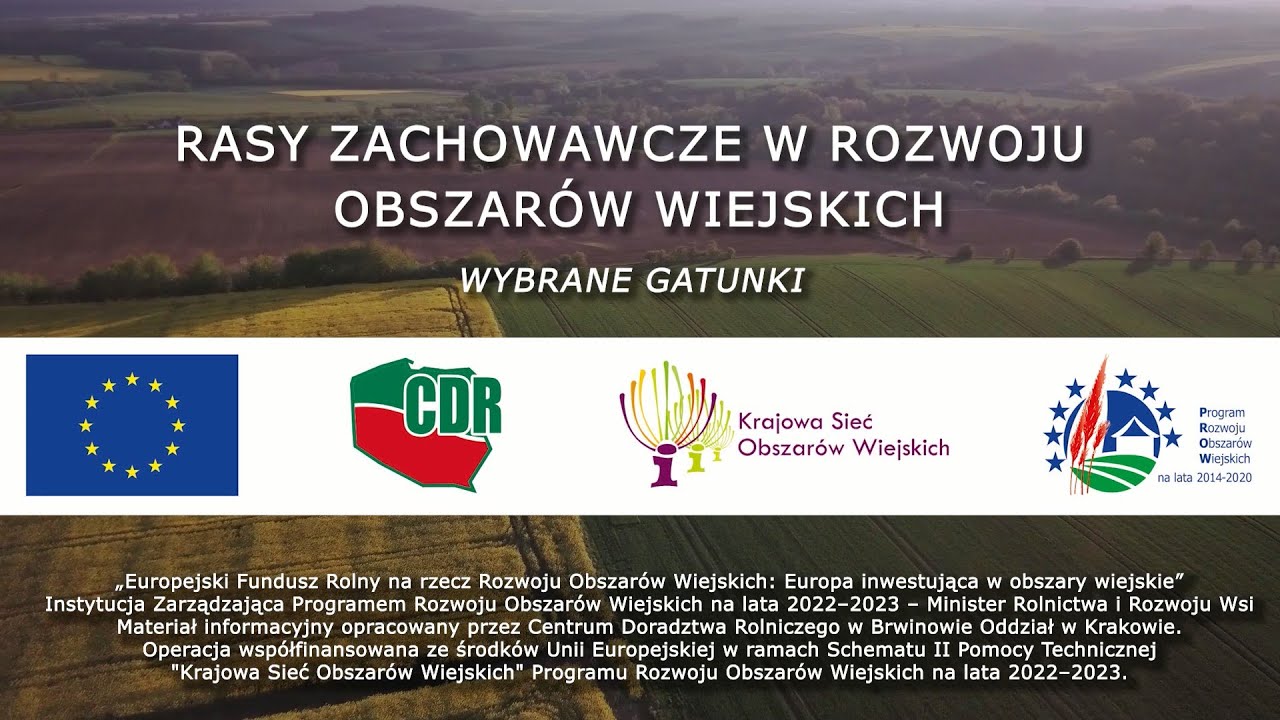 Rasy zachowawcze w rozwoju obszarów wiejskich
