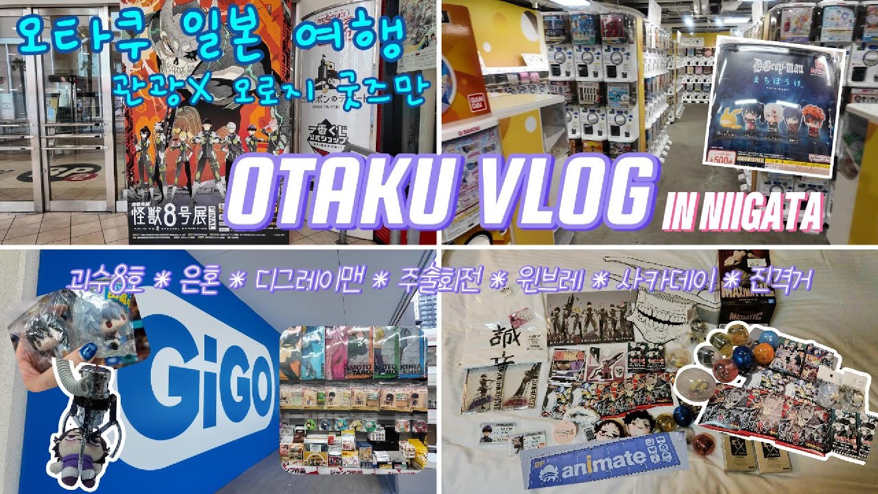 [OTAKU VLOG] 굿즈&가챠 찾아 3박4일 일본 오타쿠 여행(1일차 니가타) ㅣ 괴수8호 원화전 · 애니메이트 · 라신반 · 은혼 · 주술회전 · 진격거 · 디그레이맨