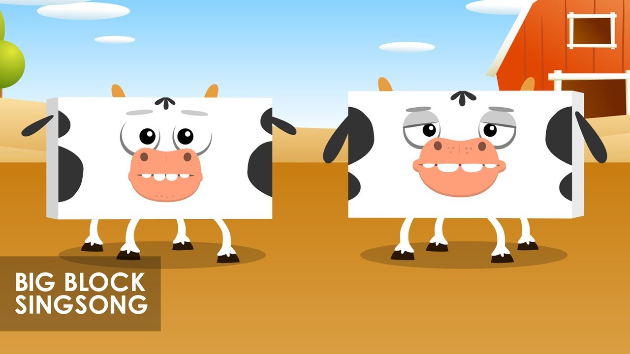 Big Block Singsong | Cows