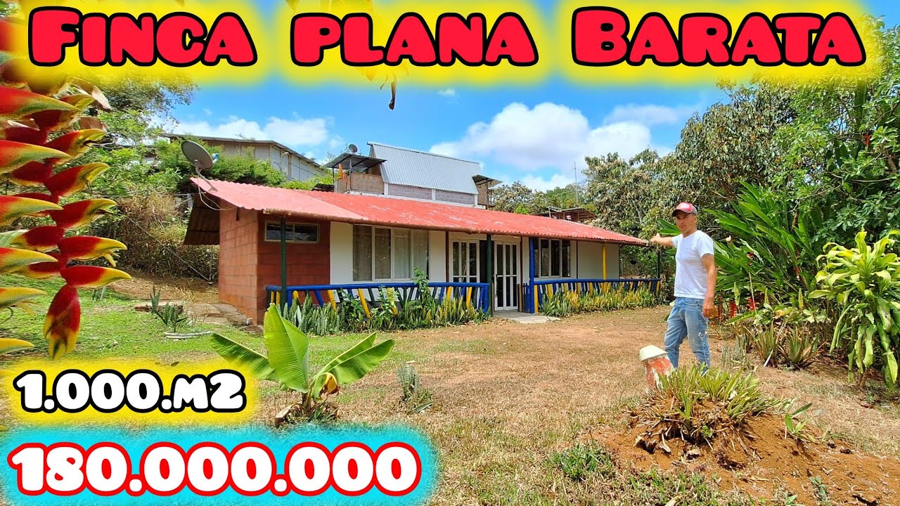 #PEDROPARRA Gangazo Finca Plana 1.000.m2. $ 180.000.000 Cerca cali colombia campo ventas lotes