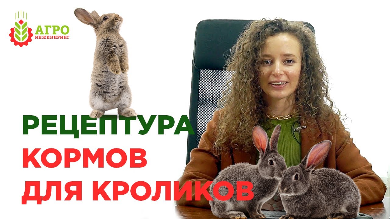 Рецептура кормов для кроликов. Состав корма для промышленного производства.