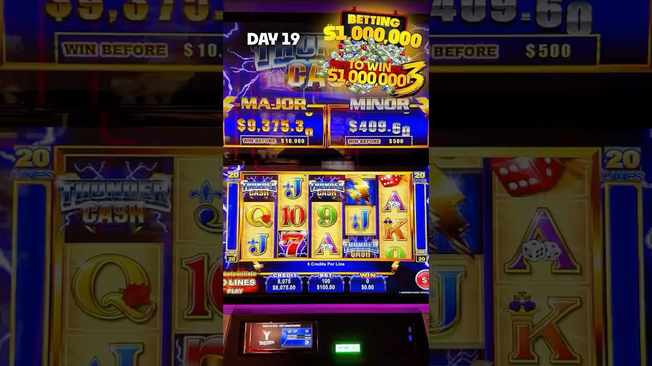 Day 19 💸 $100 BET = 100 SPINS!!!