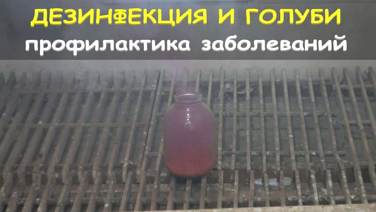 Дезинфекция. Профилактика 