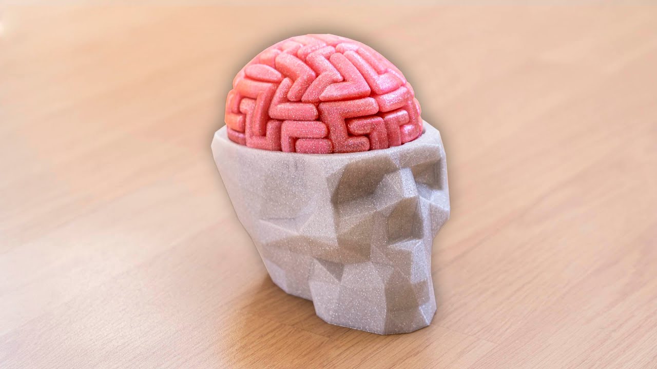 &iquest;PODR&Iacute;AS CONSTRUIR UN CEREBRO? (+50 PIEZAS) *NIVEL LOCURA*
