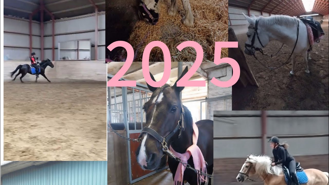 Året der gik 2025
