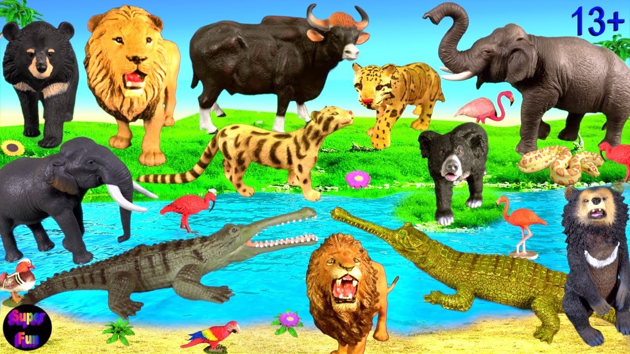 Djur - lejonbj&ouml;rnar elefant python gaur, seng&aring;ngsbj&ouml;rn, civet 13+