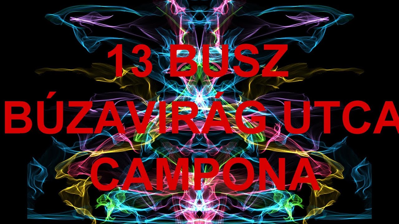 13 Busz Di&oacute;sd B&uacute;zavir&aacute;g utca - Budat&eacute;t&eacute;ny Campona