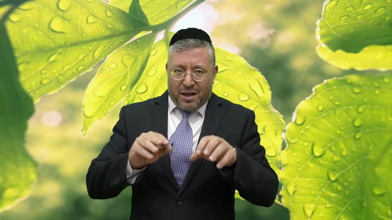 אנחנו העכבר - הרב אשר ברדה HD