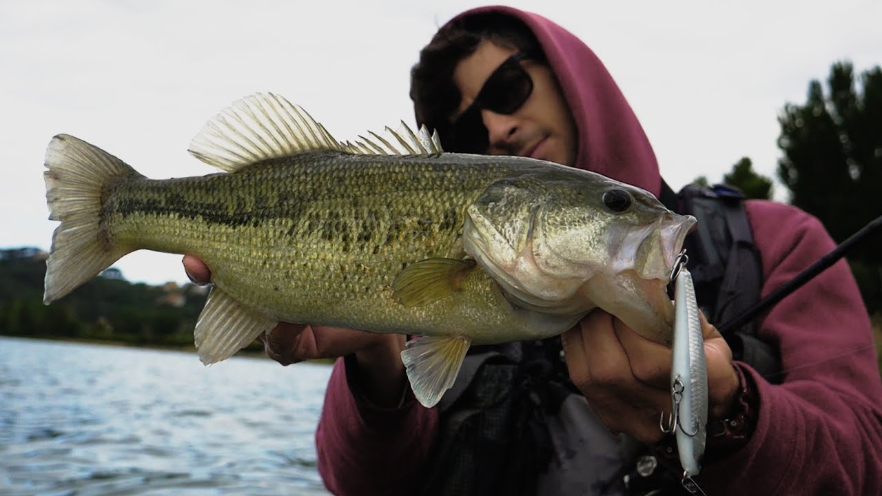 Bass a Topwater in Lago Vulcanico - Fishin' Around