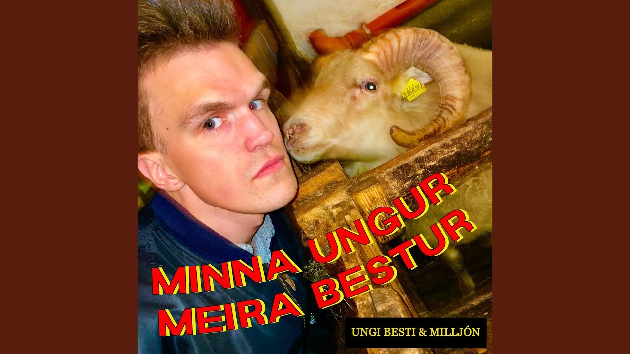 Minna Ungur Meira Bestur