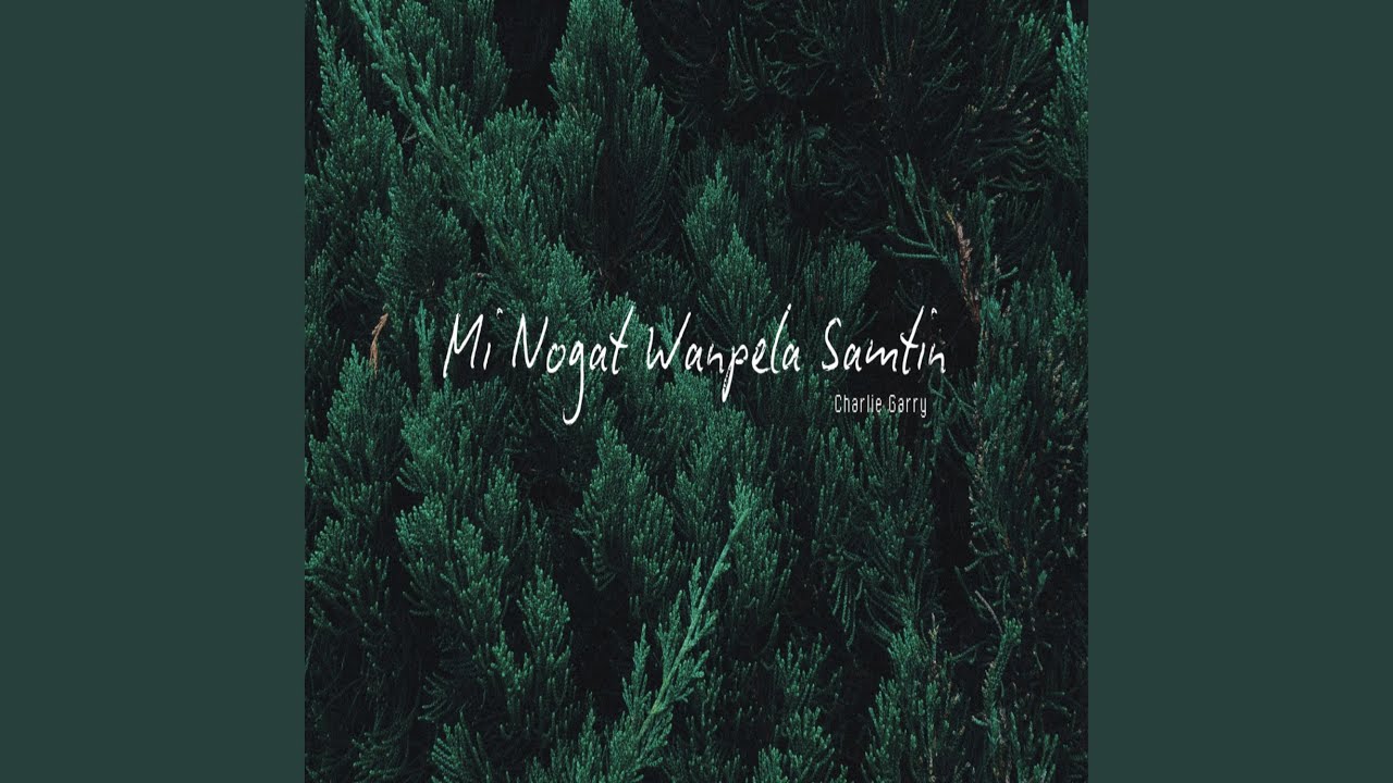 Mi Nogat Wanpela Samtin