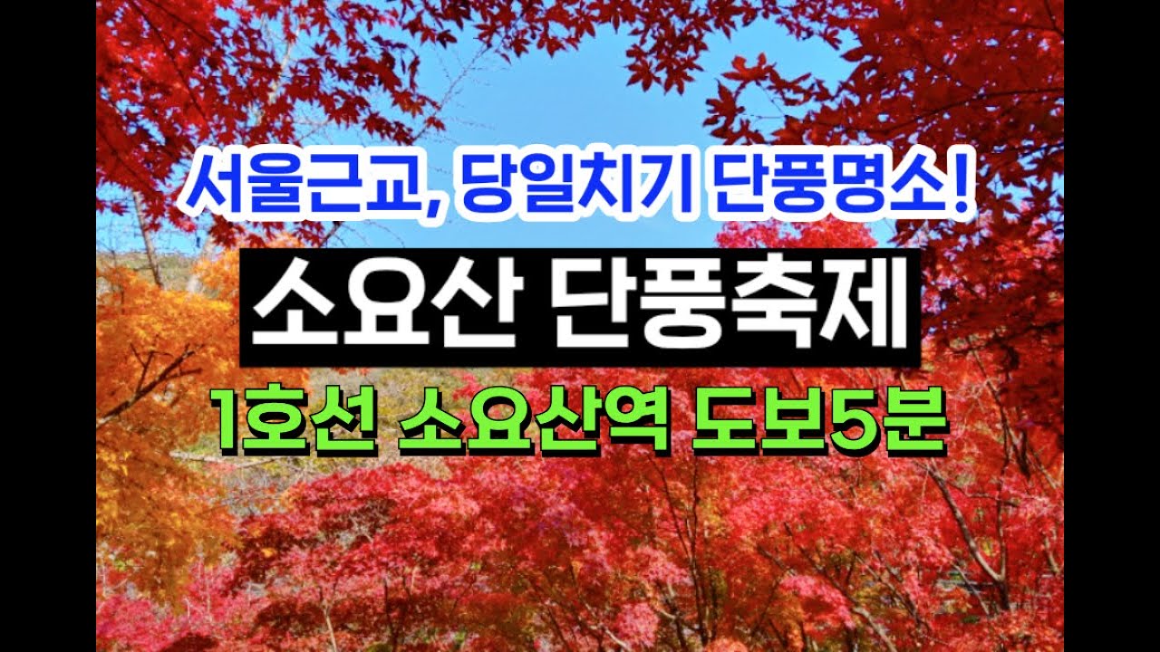 🍁당일치기 서울 근교 단풍명소ㅣ🍂단풍여행 소요산단풍축제 추천ㅣ✨단풍여행 단풍놀이 가볼만한곳ㅣ🚇지하철 1호선 소요산역ㅣ단풍절정시기ㅣ가을여행 추천