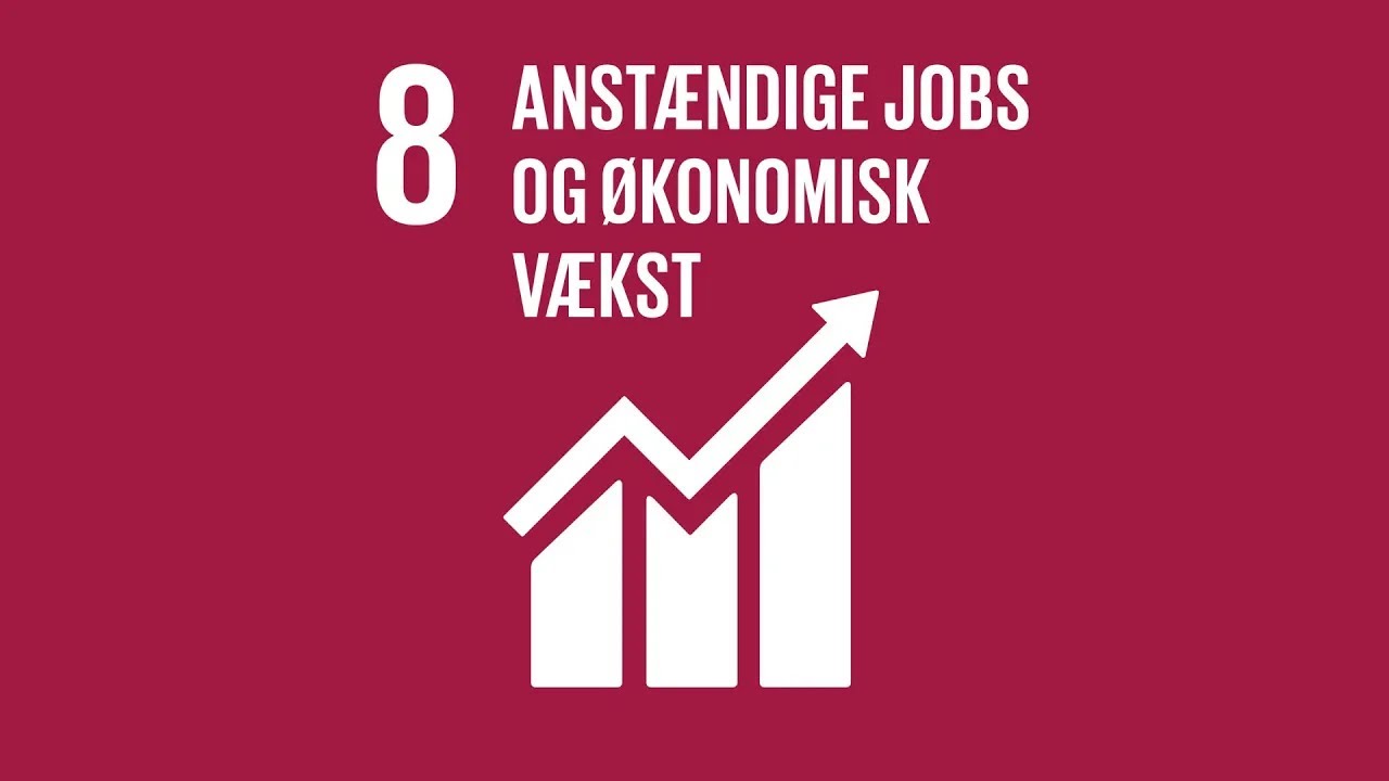 Verdensmål 8: Anstændige jobs og økonomisk vækst
