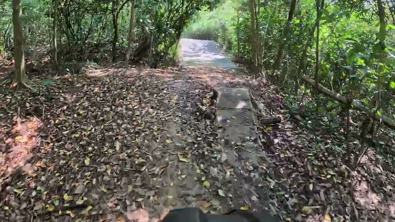 シンガポール、MTBパークチェスナッツに行ってみた！