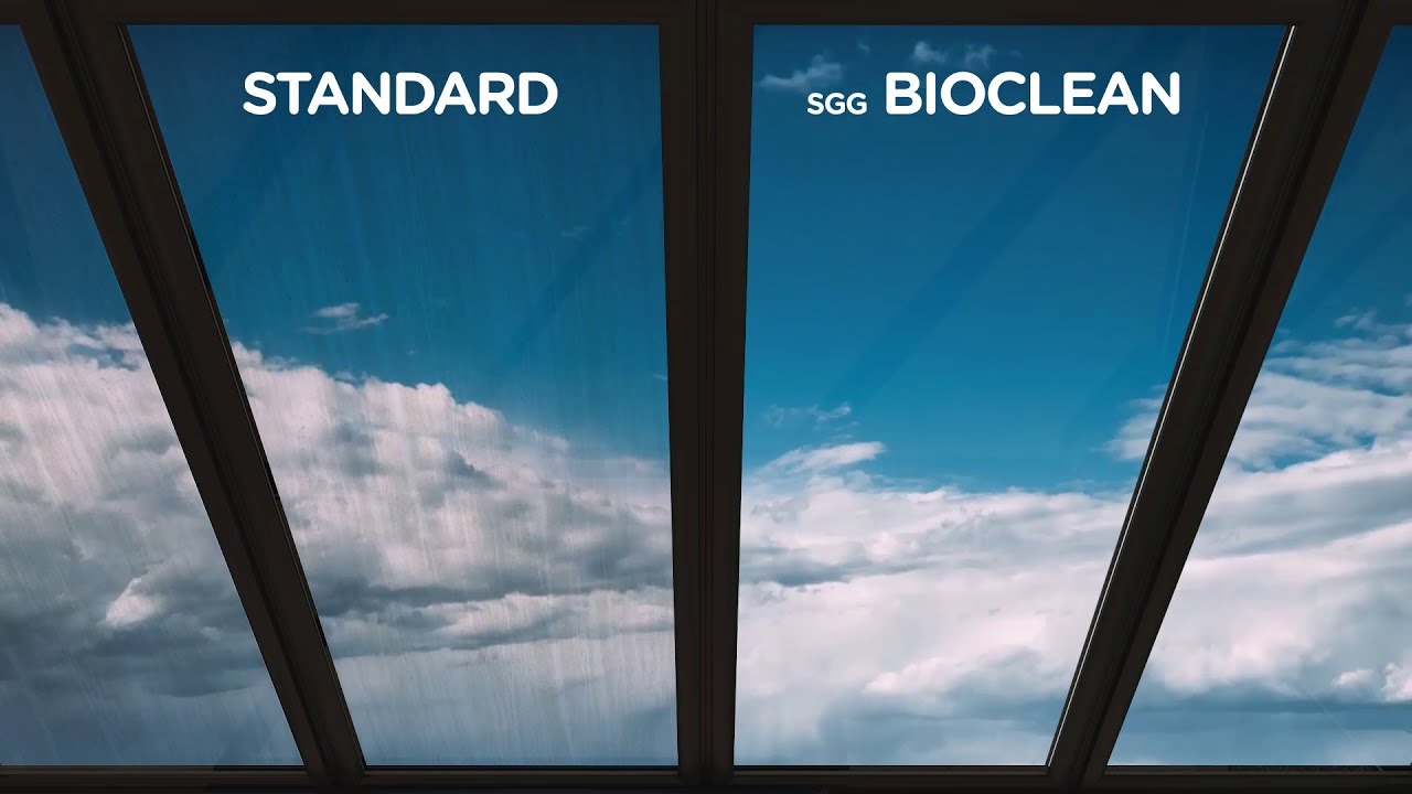 Bioclean il vetro auto pulente di Saint-Gobain