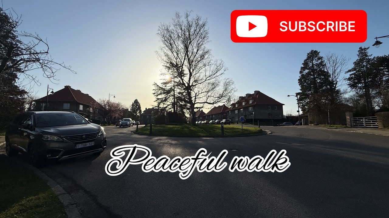 Peaceful Walk Through a Beautiful Brussels Street 🇧🇪 | Quiet Relaxing Place|Europe Travel Vlog